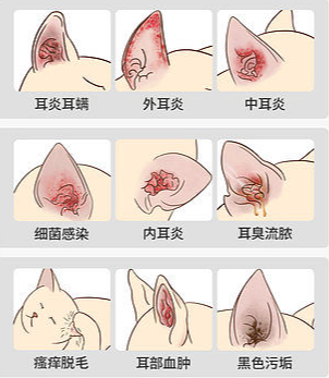 企业微信截图_16909541509590.png